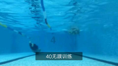 俄外交官:扎波罗热核电站周边地雷只对老鼠构成危险